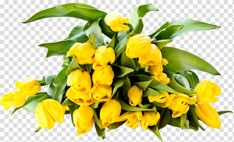 Desktop Yellow Tulip Color, tulip transparent background PNG clipart