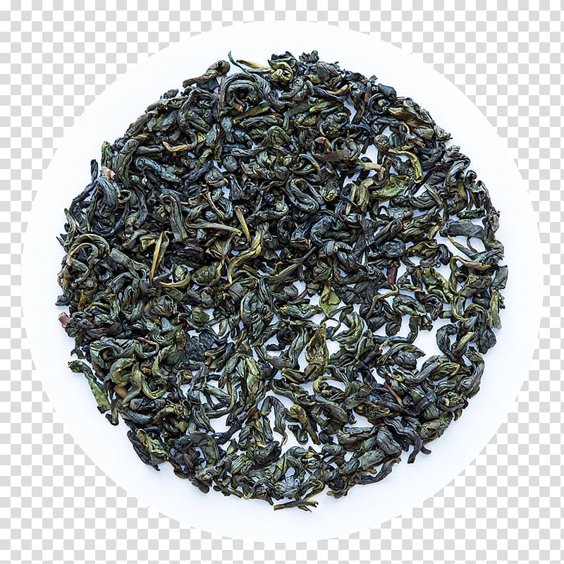 Green tea Oolong Lapsang souchong Nilgiri tea, blueberry transparent background PNG clipart