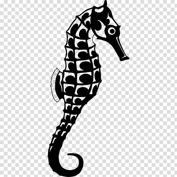 Seahorse Animal Phonograph record White Orange, mar transparent background PNG clipart