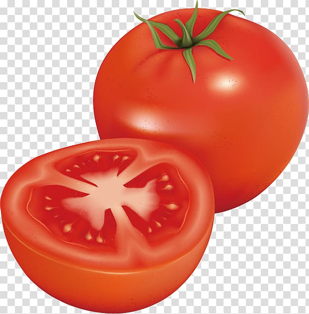 Tomato , Tempting tomato transparent background PNG clipart