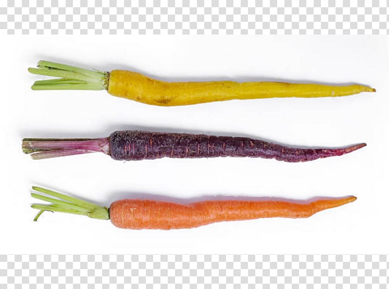 Carrot Carota di Polignano Carotene Salad Juice, carrot transparent background PNG clipart