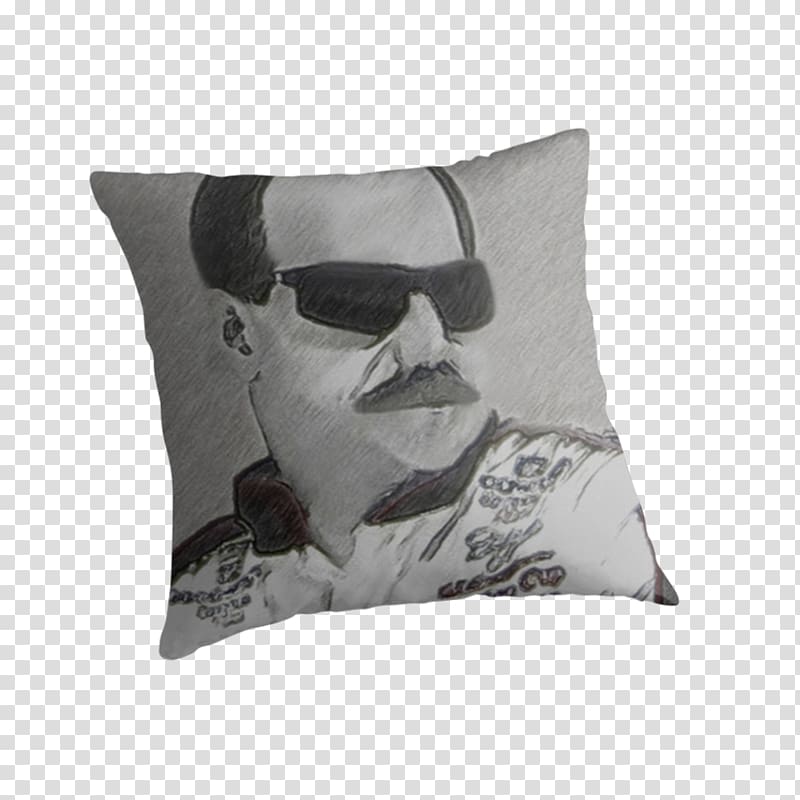 Cushion Throw Pillows, Dale Earnhardt transparent background PNG clipart