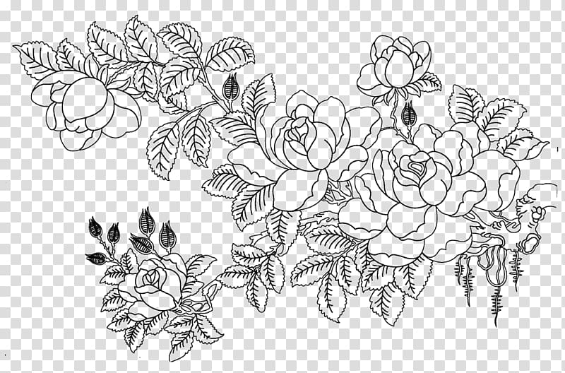 white and black floral illustration, Rosa multiflora Drawing Flower Sketch, Flower sketch transparent background PNG clipart
