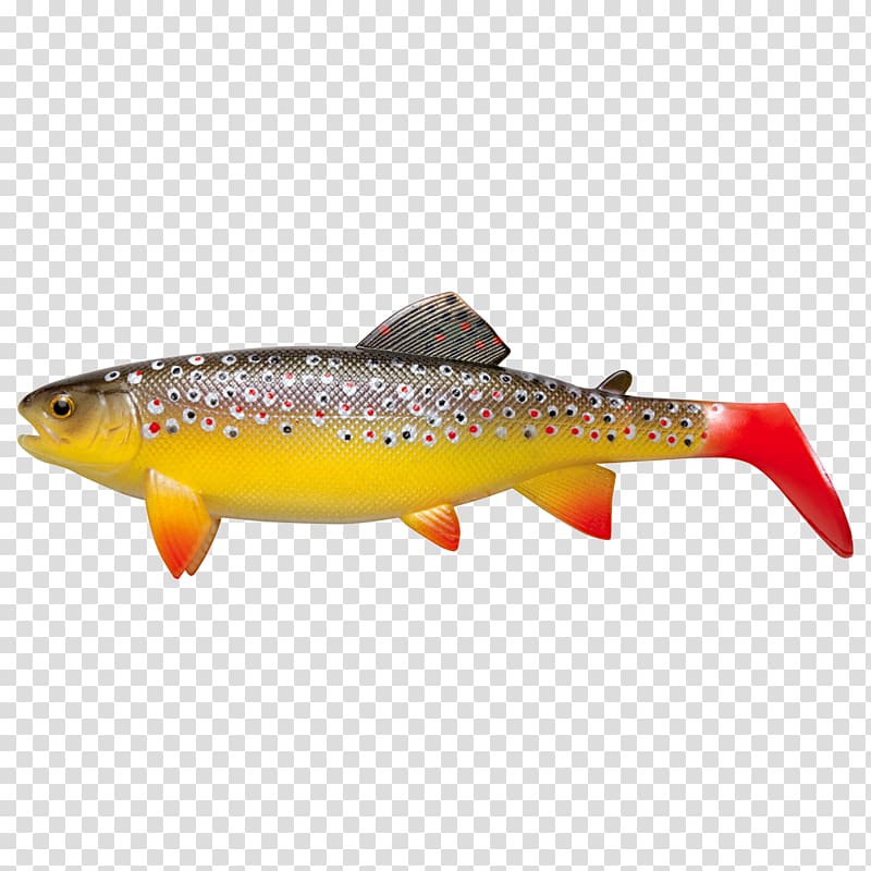 Brown trout Fishing Baits & Lures Rainbow trout, trout transparent background PNG clipart