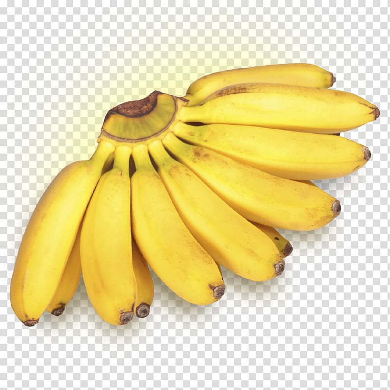 Lady Finger banana Dwarf Cavendish banana Cooking banana Fruit, green banana transparent background PNG clipart