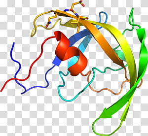 Line Point Organism , line transparent background PNG clipart thumbnail