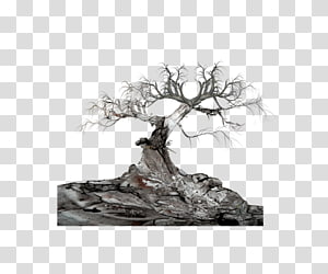 Tree , Dark stone tree transparent background PNG clipart thumbnail
