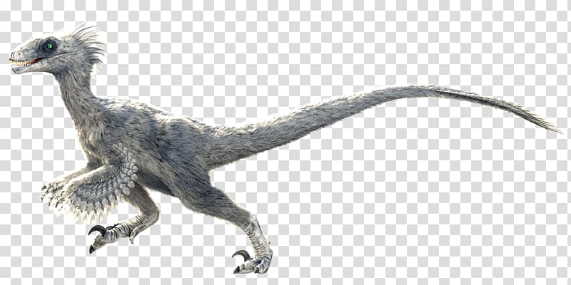 Primal Carnage Velociraptor Feather Dinosaur Diablo III, bearded dragon transparent background PNG clipart