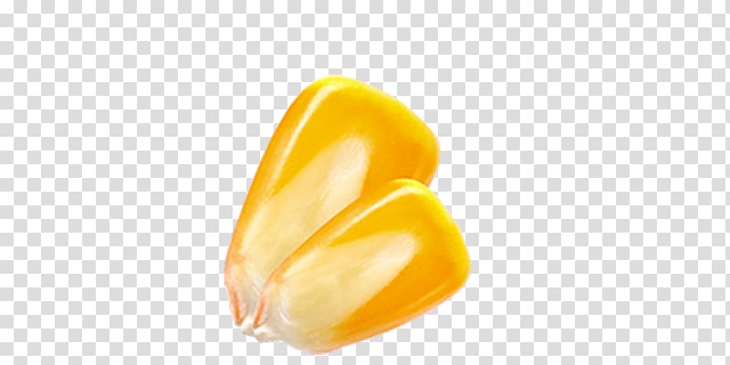 Yellow Orange , corn kernels transparent background PNG clipart