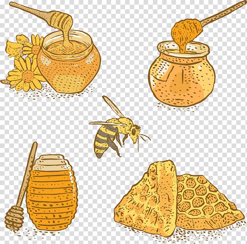 Bee Honey Apis florea, Hand-painted craft honey transparent background PNG clipart