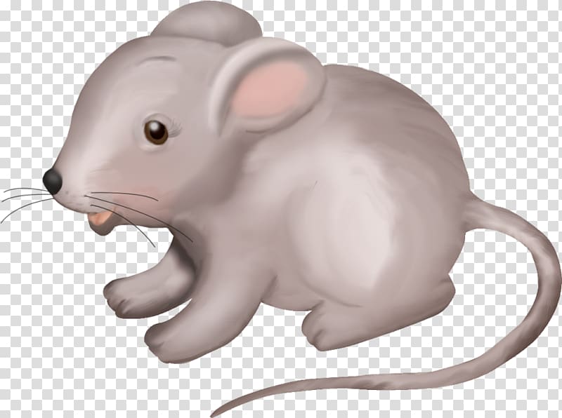 Whiskers Computer mouse Snout Animal, Computer Mouse transparent background PNG clipart