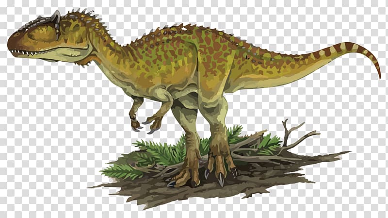 Carcharodontosaurus Kelmayisaurus Acrocanthosaurus Tyrannosaurus Giganotosaurus, dinosaurs transparent background PNG clipart
