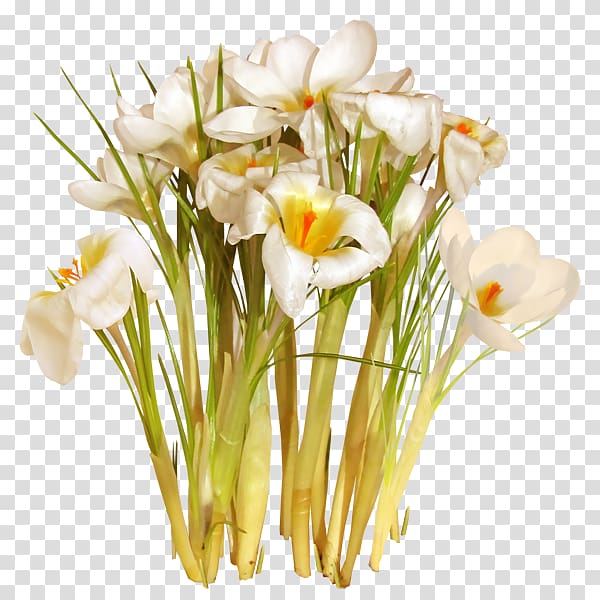 Floral design Saffron Cut flowers Safflower, flower transparent background PNG clipart