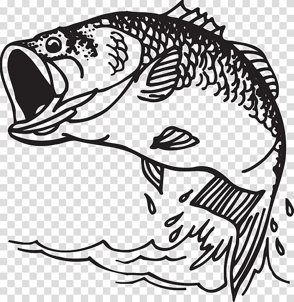 Largemouth bass Decal Bass fishing, Fishing transparent background PNG clipart