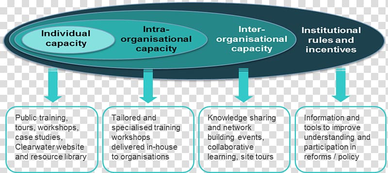 Capacity building Organization Definition Individual, Capacity Building transparent background PNG clipart