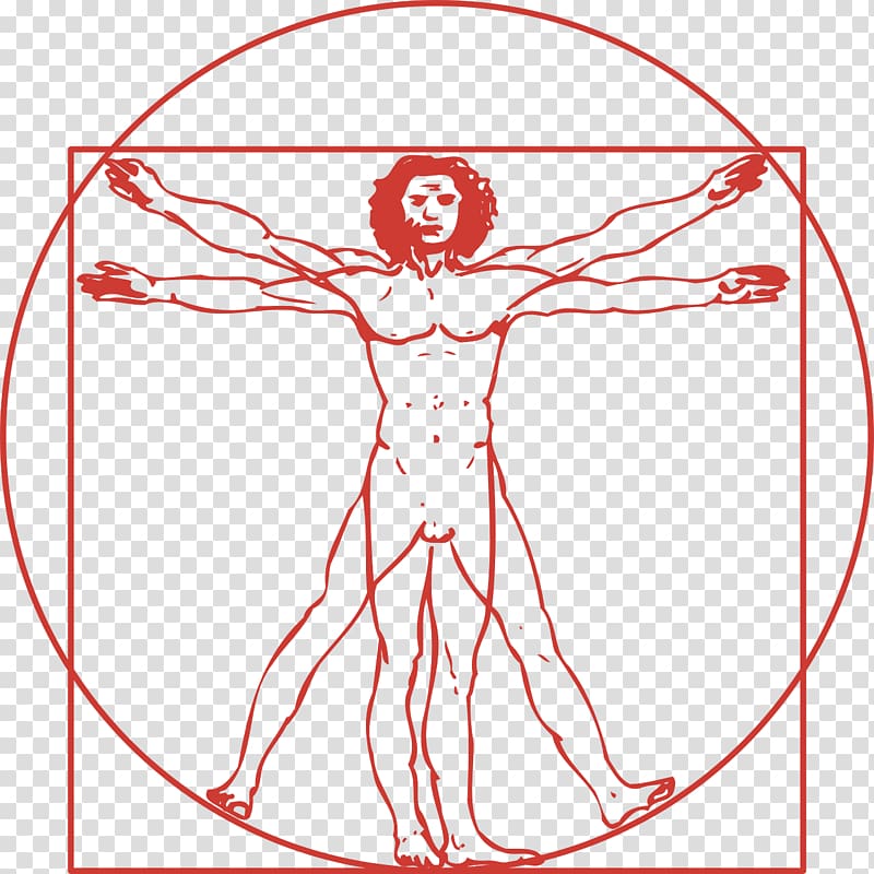 Vitruvian Man , others transparent background PNG clipart
