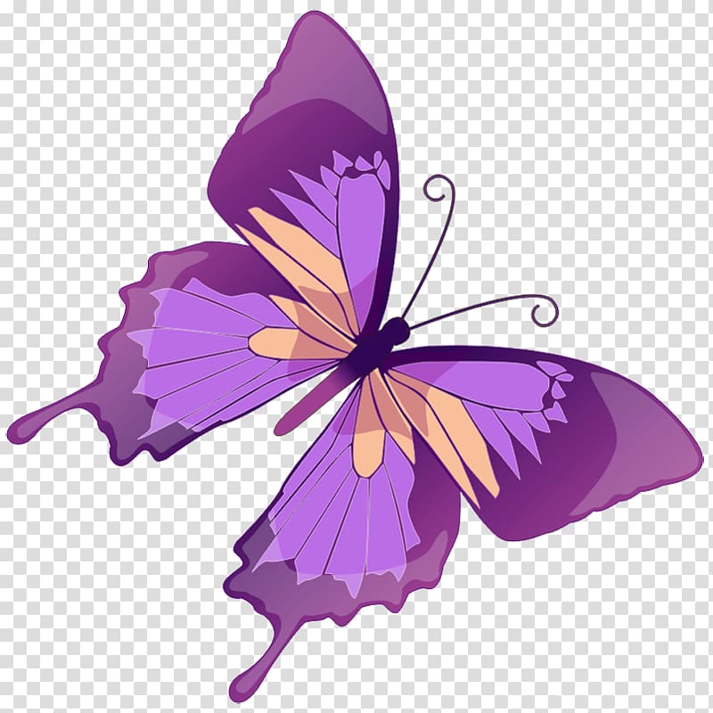 Butterfly Purple Free content Color , Free Butterfly transparent background PNG clipart