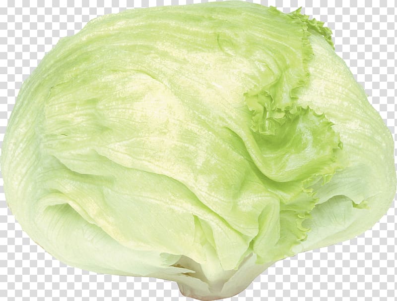 Cabbage Romaine lettuce Cauliflower Kale, Cabbage transparent background PNG clipart