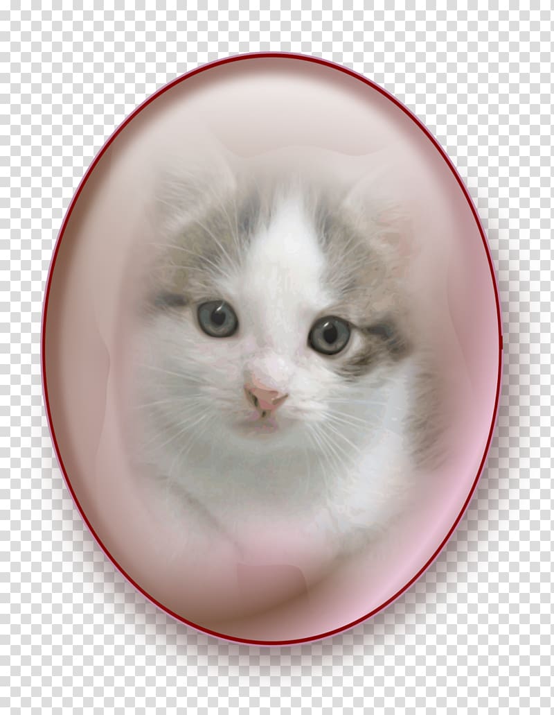 Whiskers Norwegian Forest cat Domestic short-haired cat Kitten Domestic long-haired cat, kitten transparent background PNG clipart