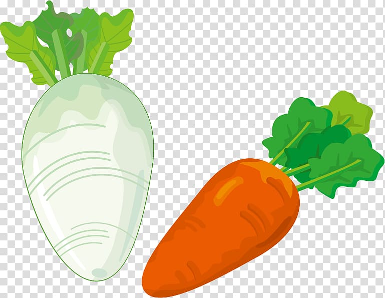 Ukha Fish soup Carrot , White radish carrot material transparent background PNG clipart