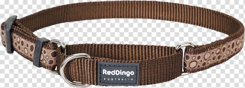 Dog collar Dingo Dog collar Leash, Dog transparent background PNG clipart