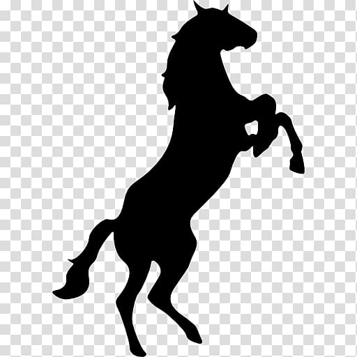 Standing Horse Stallion Mustang , horse racing transparent background PNG clipart