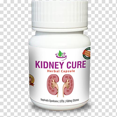 Ayurveda Medicine Kidney failure Health, kidney transparent background PNG clipart