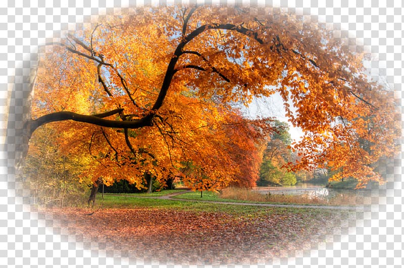 Desktop Computer, Computer transparent background PNG clipart