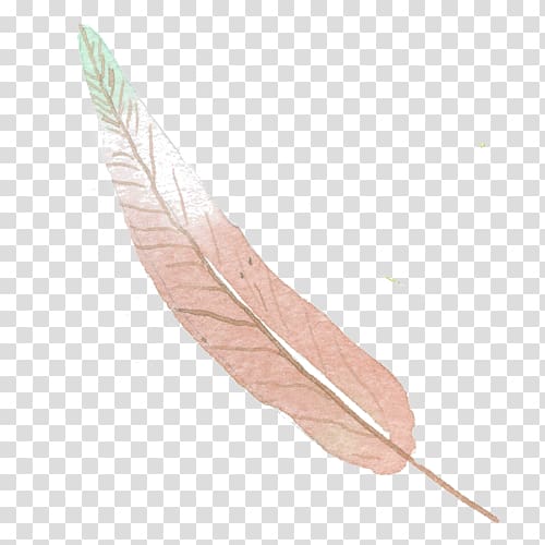 Feather Euclidean Color, Hand-painted pink feathers transparent background PNG clipart
