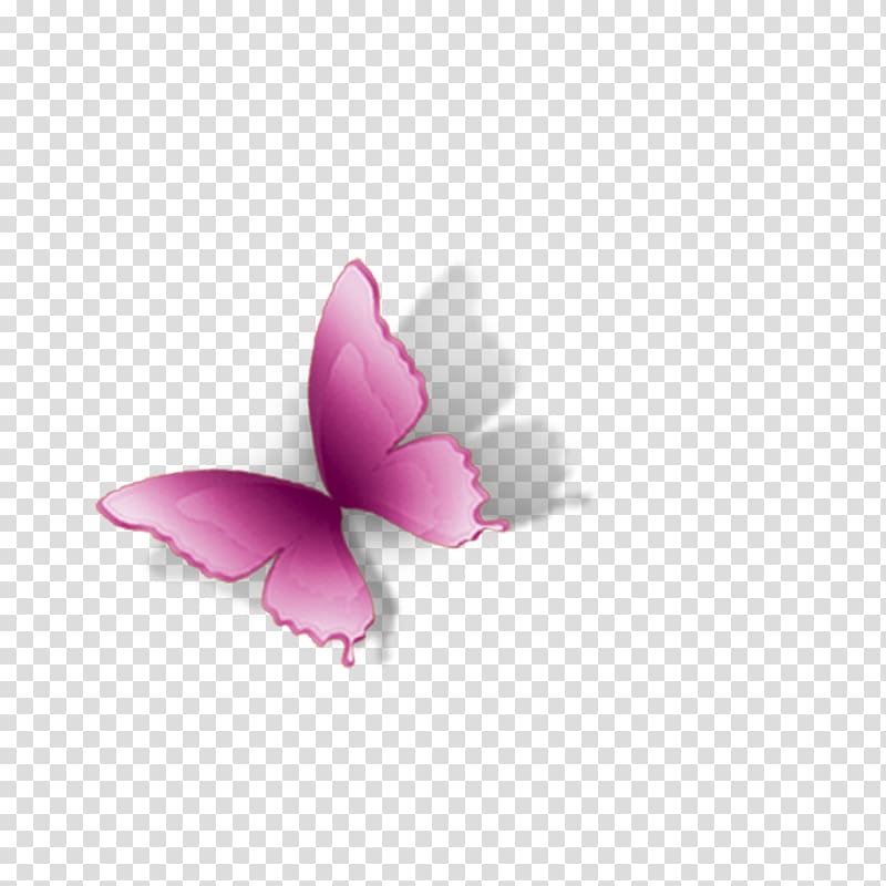 Butterfly Petal Computer , butterfly transparent background PNG clipart