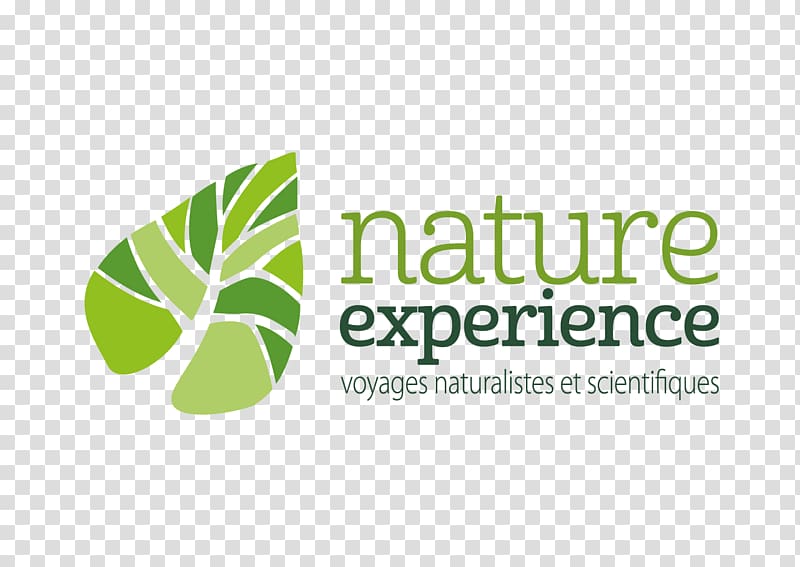 Logo Cotopaxi Neotropical Bird Club Science Nature, Marine Invertebrates transparent background PNG clipart
