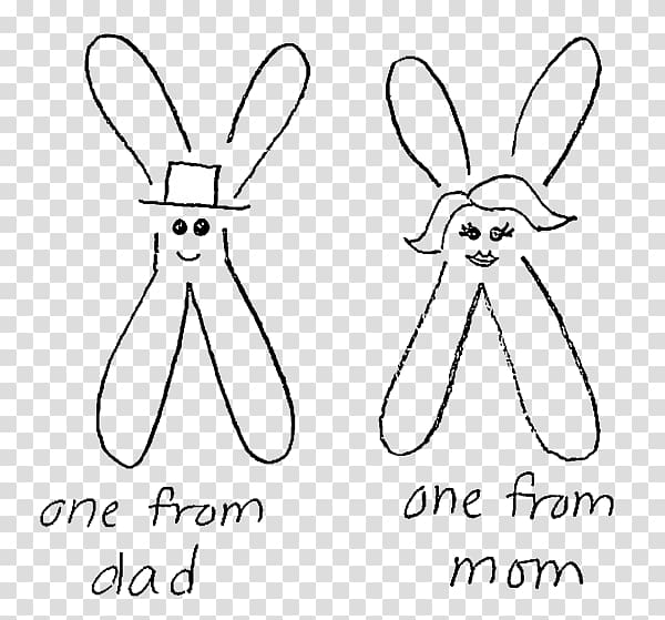Domestic rabbit Chromosome Genetics Drawing, chromosome structure transparent background PNG clipart