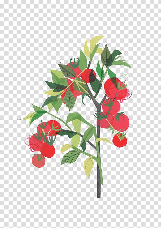 Tomato Clover Collage Illustrator Illustration, Cartoon tomatoes transparent background PNG clipart
