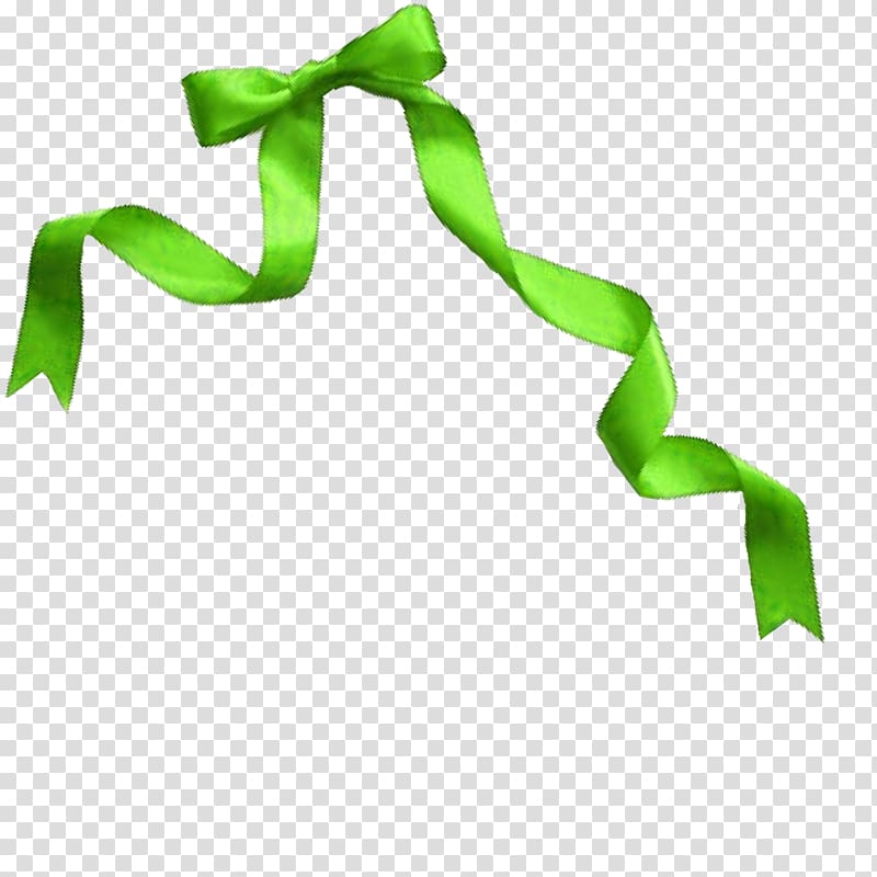 Ribbon Green, Green ribbon bow transparent background PNG clipart