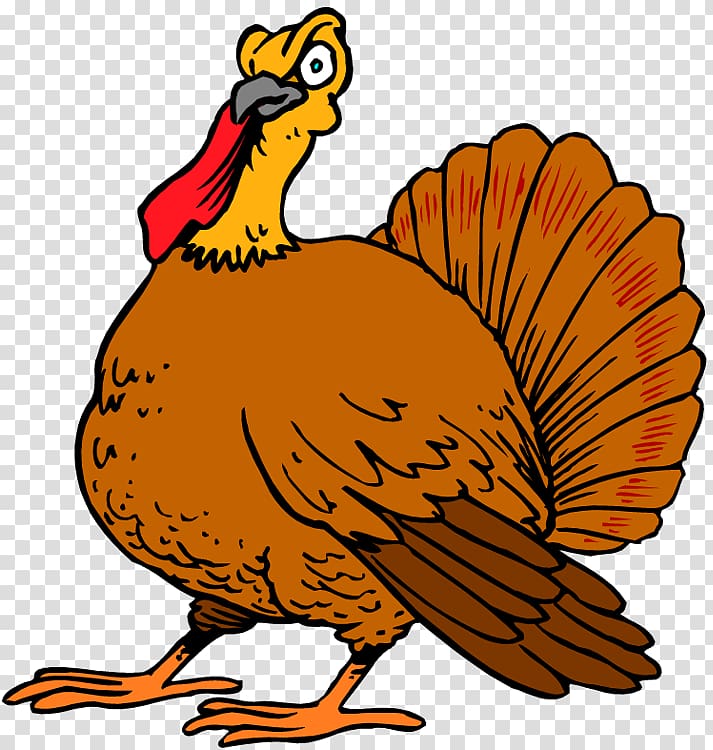 Thanksgiving Day Turkey Wish Happiness, Free Turkey transparent background PNG clipart