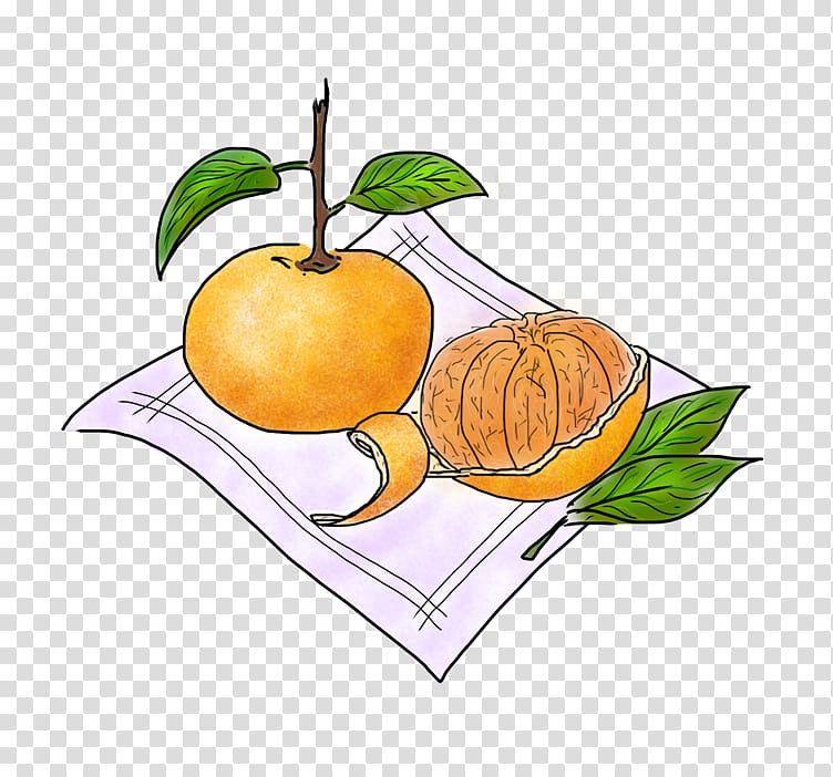 Vegetarian cuisine Food Balsamic vinegar Apple Fruit, tangerine transparent background PNG clipart