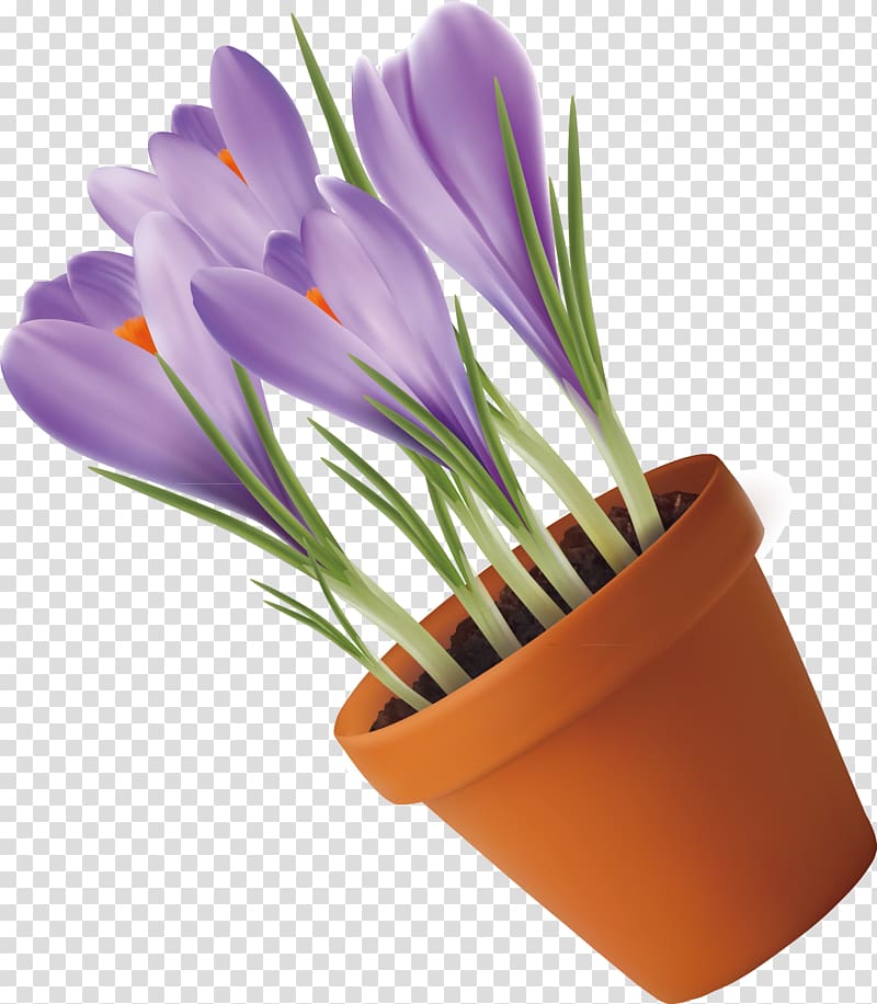 Purple Lavender Euclidean , Purple tulip Lavender transparent background PNG clipart