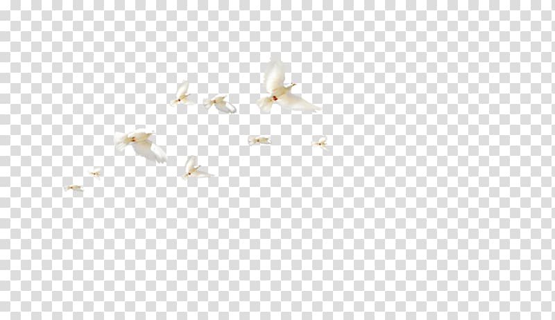 flock white birds , White Angle Pattern, Flock of birds transparent background PNG clipart