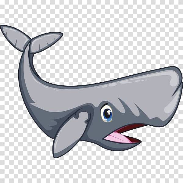 Sperm whale Cartoon , A shark transparent background PNG clipart