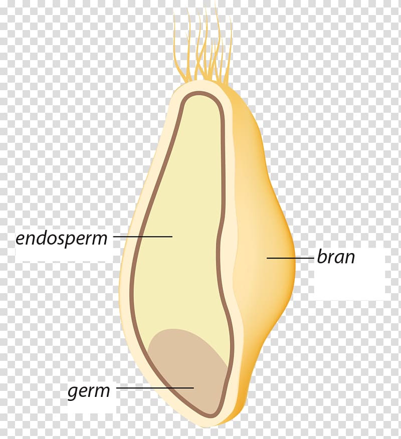 Thumb Tooth Mouth Jaw, design transparent background PNG clipart