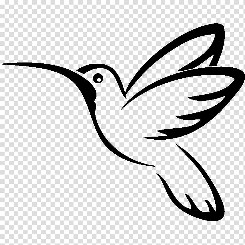 Hummingbird Drawing, Bird transparent background PNG clipart