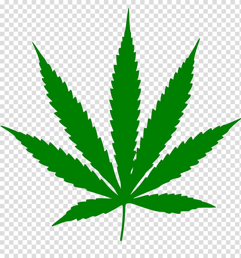 Cannabis sativa Medical cannabis Cannabidiol Cannabis smoking, Cannabis transparent background PNG clipart
