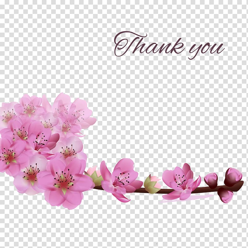Flower Greeting card , Thanksgiving Greeting Cards transparent background PNG clipart