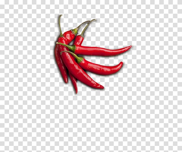 Chile de xe1rbol Birds eye chili Cayenne pepper Serrano pepper Tabasco pepper, Red pepper transparent background PNG clipart