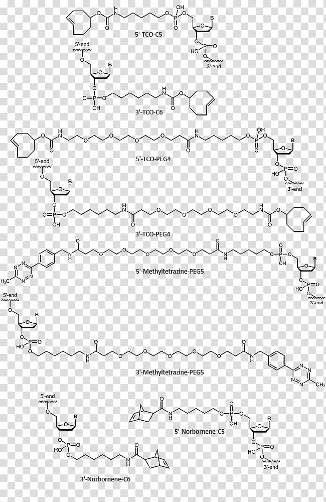 Click chemistry Tetrazine Cycloaddition Chemical reaction, Click Chemistry transparent background PNG clipart