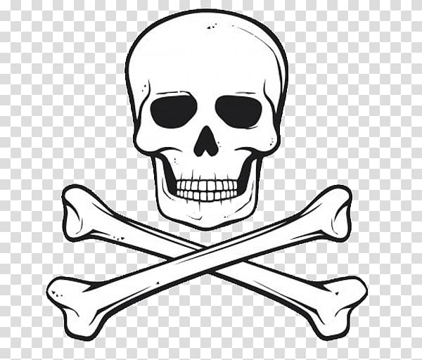 Skull and crossbones Human skull symbolism, skull transparent background  PNG clipart