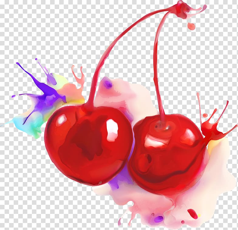 cherries art, Cherry Watercolor painting Auglis, Cherry material watercolor transparent background PNG clipart