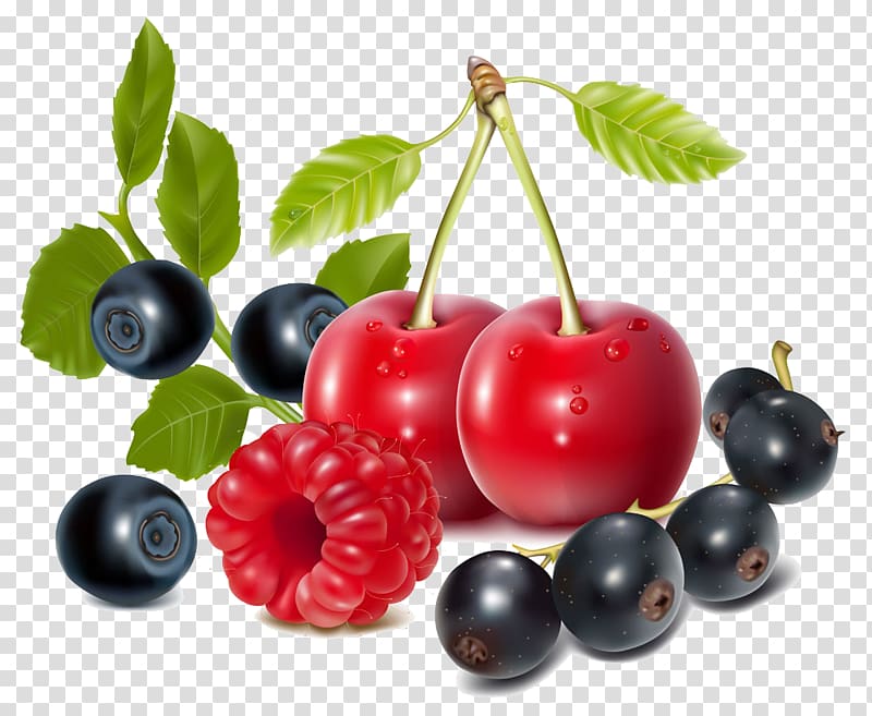 Berry , Cherry Blueberry transparent background PNG clipart