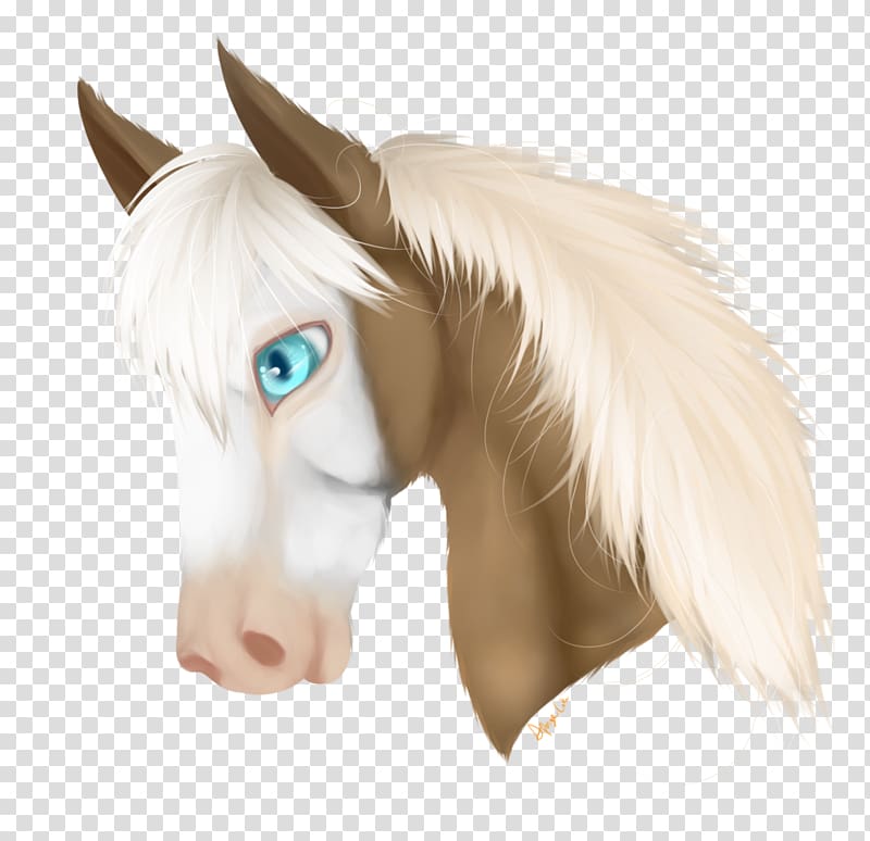 Mustang Snout Figurine Eye Ear, girly horse head cake transparent background PNG clipart