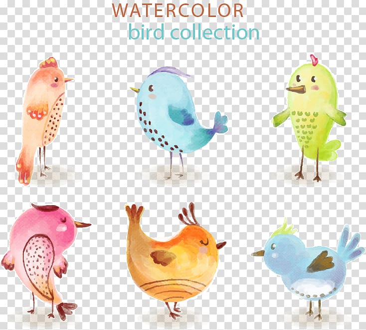 Bird Cat Adobe Illustrator Euclidean , 6 Water Painted Bird transparent background PNG clipart